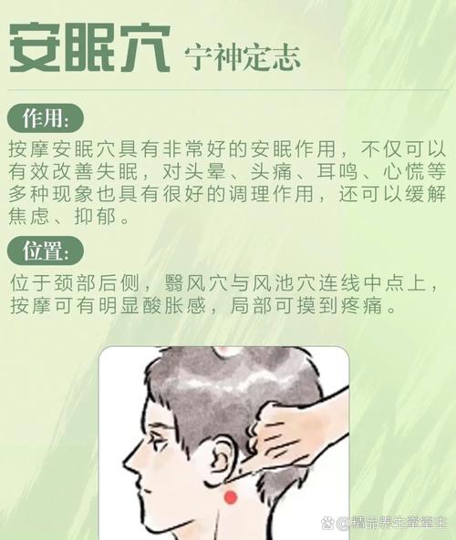 卧室只能放盆它，1两小时释放氧气，让你不失眠睡的香！，卧室放什么植物释放氧气？-第3张图片-优品飞百科