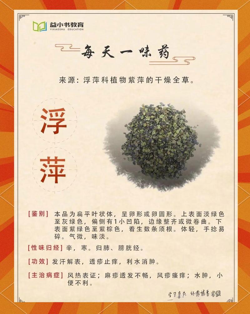 浮萍的功效与作用，干燥浮萍的功效与作用-第1张图片-优品飞百科