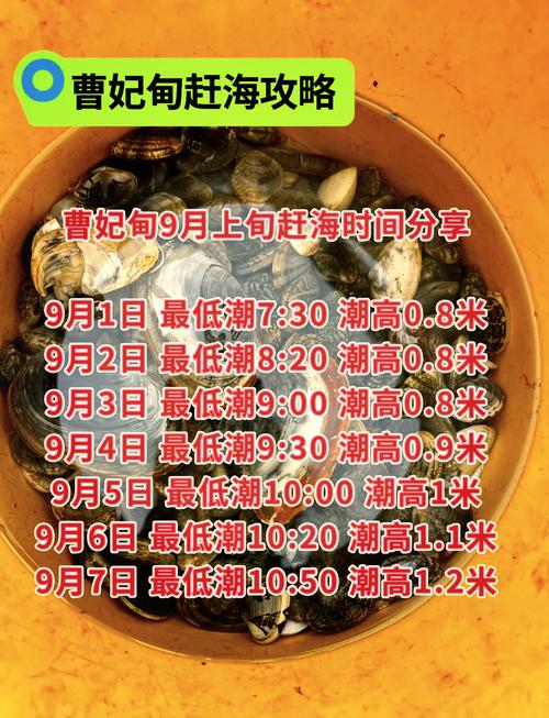 唐山曹妃甸天气预报一周天气?曹妃甸天气预报查询?-第6张图片-优品飞百科 唐山曹妃甸天气预报一周天气?曹妃甸天气预报查询?-第6张图片-优品飞百科
