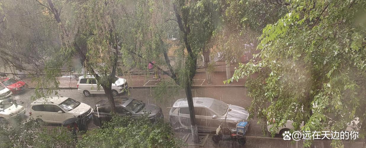 唐山曹妃甸天气预报一周天气?曹妃甸天气预报查询?-第8张图片-优品飞百科 唐山曹妃甸天气预报一周天气?曹妃甸天气预报查询?-第8张图片-优品飞百科