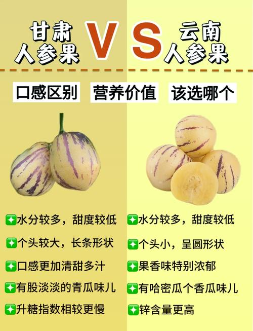 人心果的功效与作用，人心果的功效与作用怎么吃-第1张图片-优品飞百科