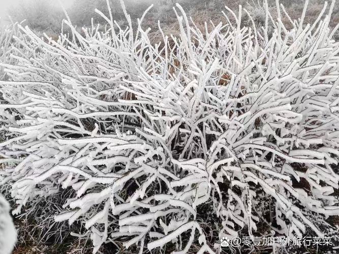 蓝山县天气预报，蓝山县天气预报未来15天？-第6张图片-优品飞百科