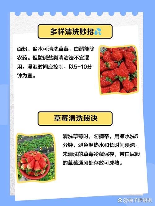 草莓怎么洗，草莓怎么洗 清洗草莓的正确方法？-第2张图片-优品飞百科