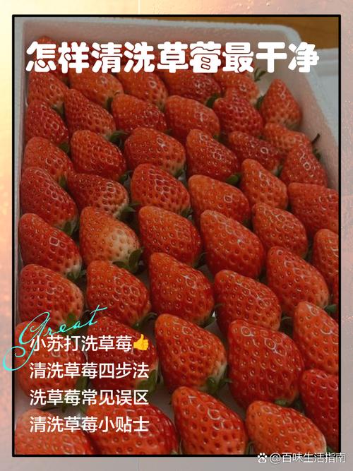 草莓怎么洗，草莓怎么洗 清洗草莓的正确方法？-第4张图片-优品飞百科
