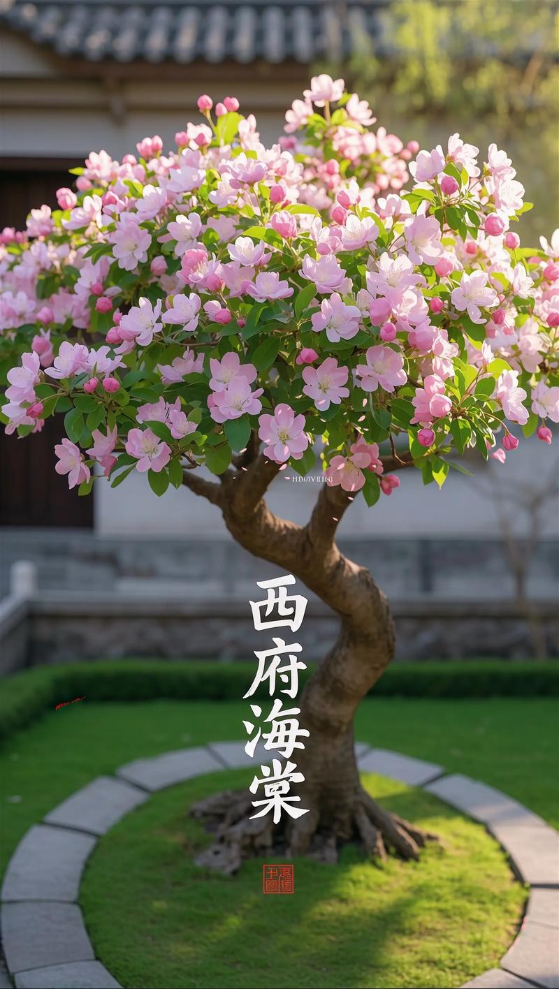 西府海棠有毒吗，能在家养吗？，西府海棠用途