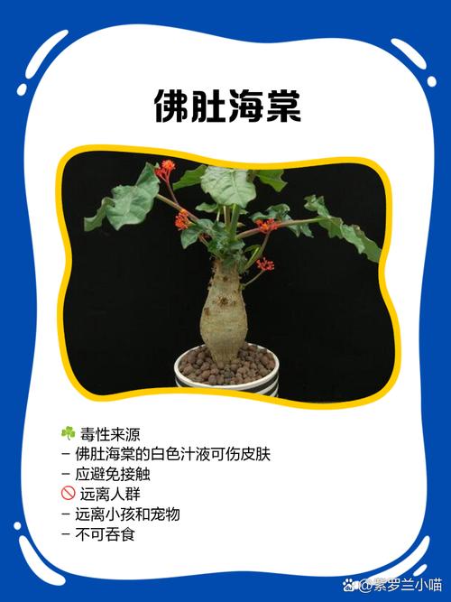 西府海棠有毒吗,能在家养吗?,西府海棠用途-第3张图片-优品飞百科 西府海棠有毒吗,能在家养吗?,西府海棠用途-第3张图片-优品飞百科