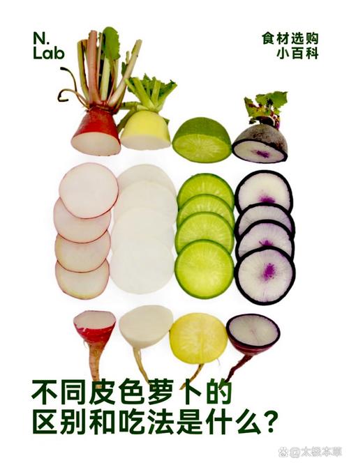 萝卜种类，萝卜种类名称和图片？