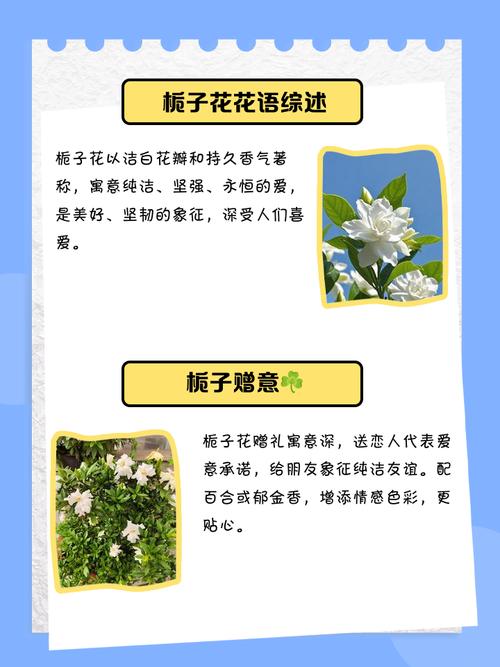 栀子花的花语，山茶花的花语-第1张图片-优品飞百科