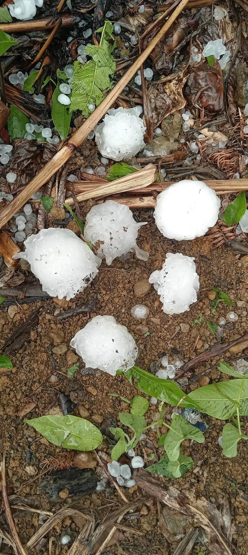 会东县天气预报，四川凉山彝族自治州会东县天气预报？-第8张图片-优品飞百科