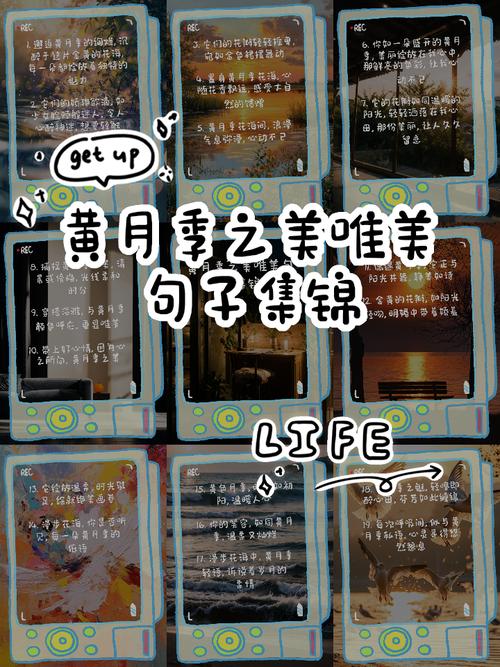 月季花花语大全，月季花花语大全及花语？-第4张图片-优品飞百科