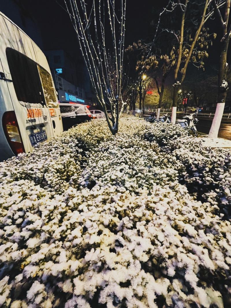 漯河市天气预报15天查询？漯河市的天气预报一周天气预报？-第1张图片-优品飞百科