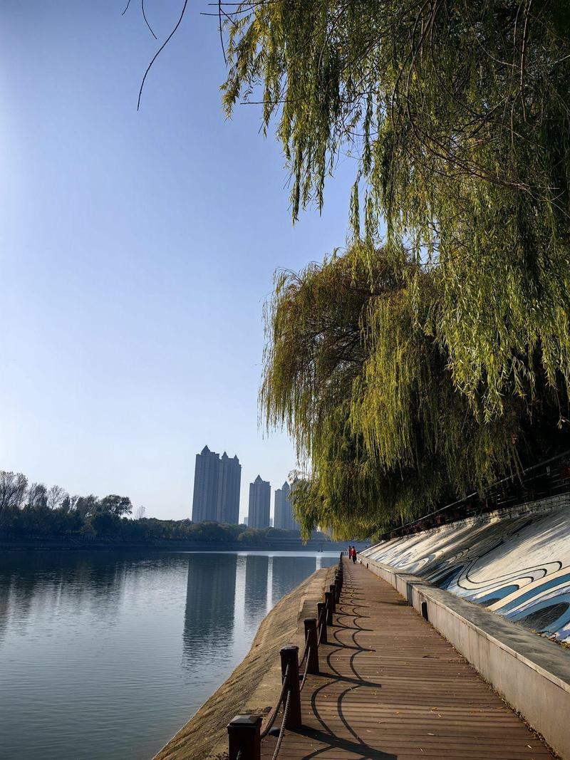 漯河市天气预报15天查询？漯河市的天气预报一周天气预报？-第4张图片-优品飞百科