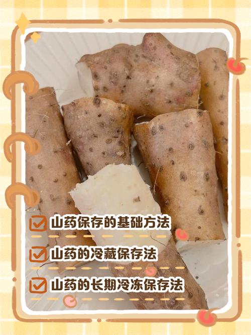 山药怎么保存时间长，山药长期储存方法？山药怎样保存能放时间长一点呢？-第2张图片-优品飞百科