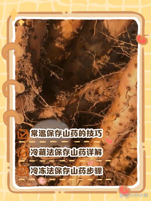 山药怎么保存时间长，山药长期储存方法？山药怎样保存能放时间长一点呢？-第5张图片-优品飞百科