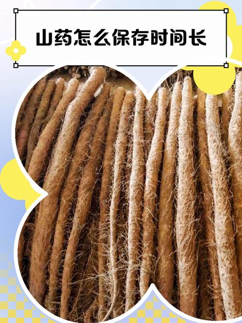 山药怎么保存时间长，山药长期储存方法？山药怎样保存能放时间长一点呢？-第7张图片-优品飞百科