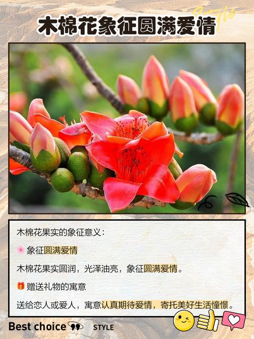 木棉花象征什么意义，木棉花象征什么意思啊？-第4张图片-优品飞百科