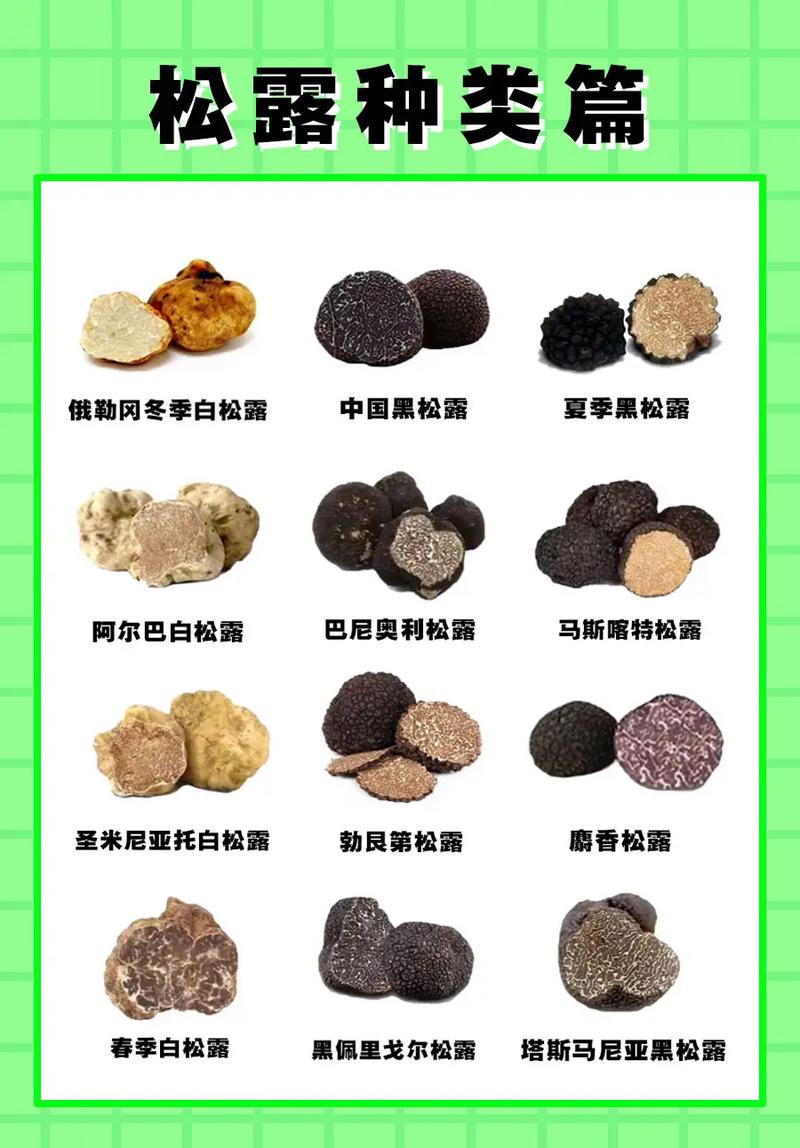 松露的养殖方法，松露的养殖方法有哪些-第1张图片-优品飞百科