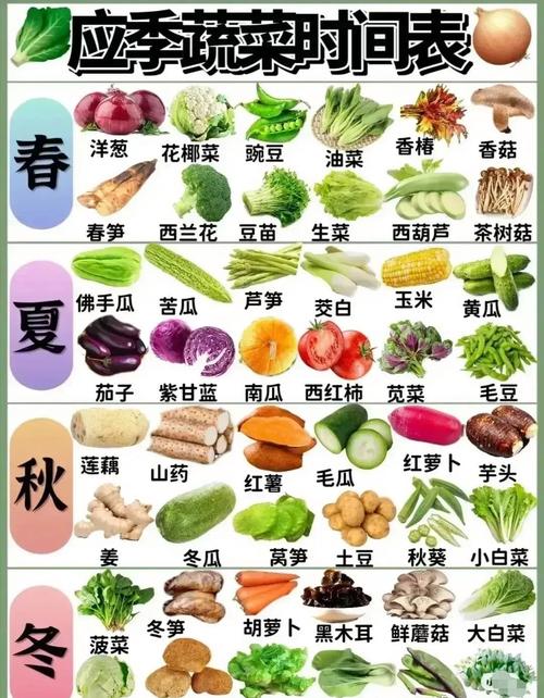 春季蔬菜有哪些，春季蔬菜有哪些种类-第1张图片-优品飞百科