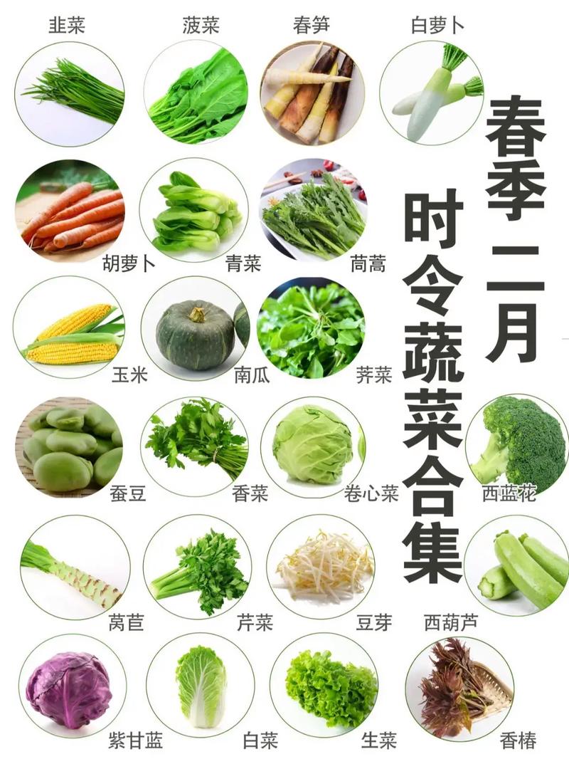 春季蔬菜有哪些，春季蔬菜有哪些种类-第2张图片-优品飞百科