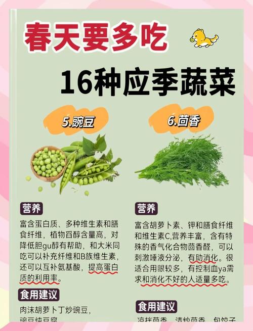 春季蔬菜有哪些，春季蔬菜有哪些种类-第3张图片-优品飞百科