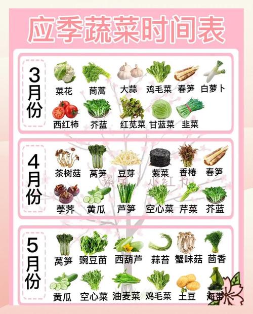春季蔬菜有哪些，春季蔬菜有哪些种类-第4张图片-优品飞百科