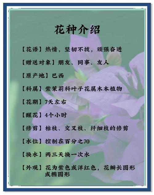 三角梅的功效和作用，三角梅有什么功效？-第5张图片-优品飞百科