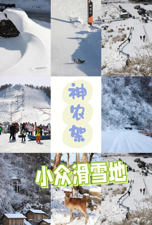 神农架天气预报15天？神农架天气预报15天查询风景区？-第4张图片-优品飞百科