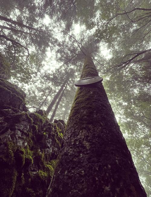 神农架天气预报15天？神农架天气预报15天查询风景区？-第7张图片-优品飞百科