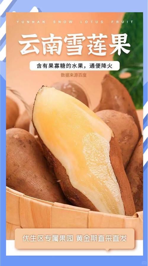 雪莲果和红薯的区别,雪莲果图片,雪莲果和红薯的区别在哪-第4张图片-优品飞百科 雪莲果和红薯的区别,雪莲果图片,雪莲果和红薯的区别在哪-第4张图片-优品飞百科