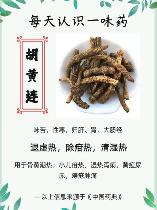 胡黄连的功效与作用，胡黄连的功效与作用点用方法-第1张图片-优品飞百科