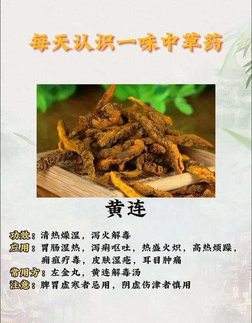 胡黄连的功效与作用，胡黄连的功效与作用点用方法-第3张图片-优品飞百科