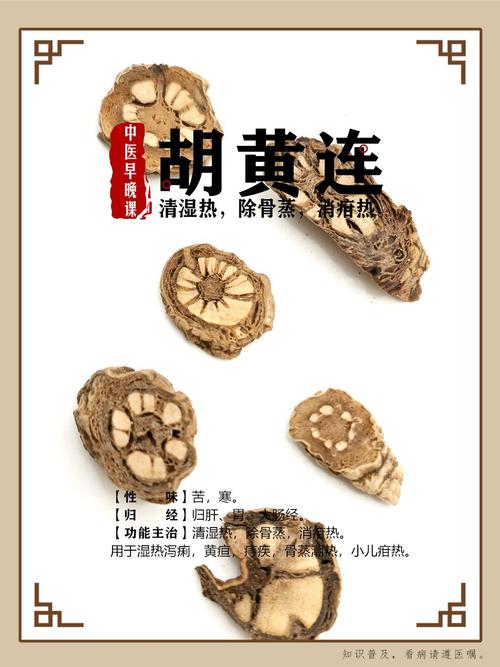 胡黄连的功效与作用，胡黄连的功效与作用点用方法-第4张图片-优品飞百科