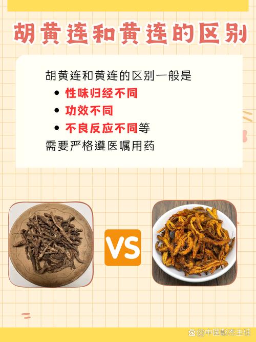 胡黄连的功效与作用，胡黄连的功效与作用点用方法-第5张图片-优品飞百科