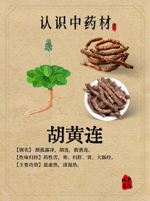 胡黄连的功效与作用，胡黄连的功效与作用点用方法-第6张图片-优品飞百科