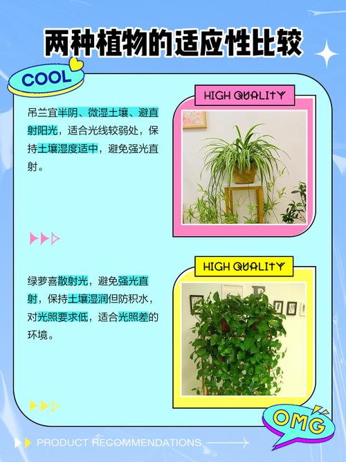 绿萝吸甲醛吗，绿萝除甲醛管用吗？