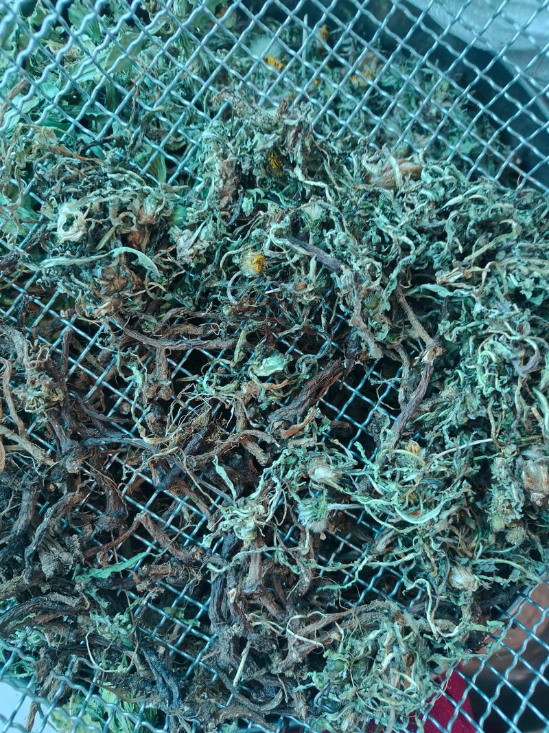 婆婆丁泡水喝的功效与作用，有什么禁忌，婆婆丁泡水的功效与作用及禁忌-第3张图片-优品飞百科