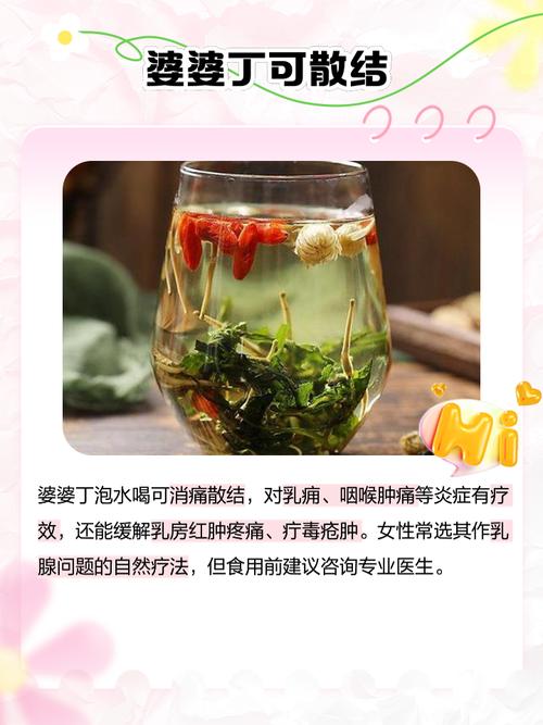 婆婆丁泡水喝的功效与作用，有什么禁忌，婆婆丁泡水的功效与作用及禁忌-第5张图片-优品飞百科