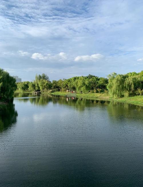 上海嘉定区天气预报15天查询一，上海嘉定天气预报30天查询百度-第3张图片-优品飞百科