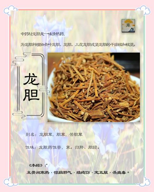 龙胆草的花语与传说，龙胆草叫什么？-第1张图片-优品飞百科