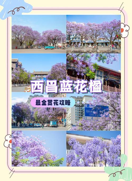 凉山适合养什么花，市花和市树是什么，四川凉山适合种什么水果-第1张图片-优品飞百科