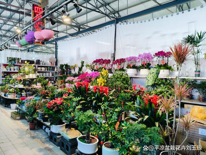 凉山适合养什么花，市花和市树是什么，四川凉山适合种什么水果-第7张图片-优品飞百科