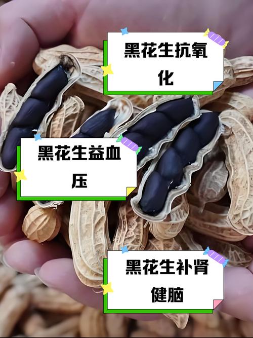 黑花生的功效与作用，黑花生的功效与作用比普通花生好吗？-第4张图片-优品飞百科