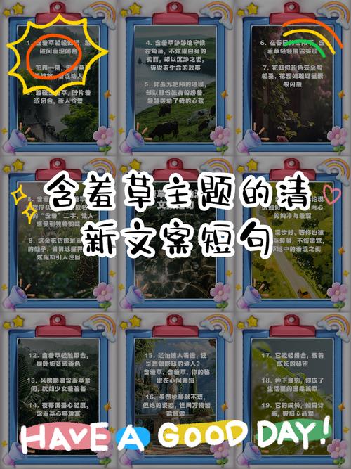 含羞草的样子，含羞草的叶子像什么，含羞草的样子,含羞草的叶子像什么仿写句子-第2张图片-优品飞百科