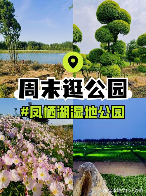 南京溧水区一周天气，江苏省南京市溧水区天气-第1张图片-优品飞百科