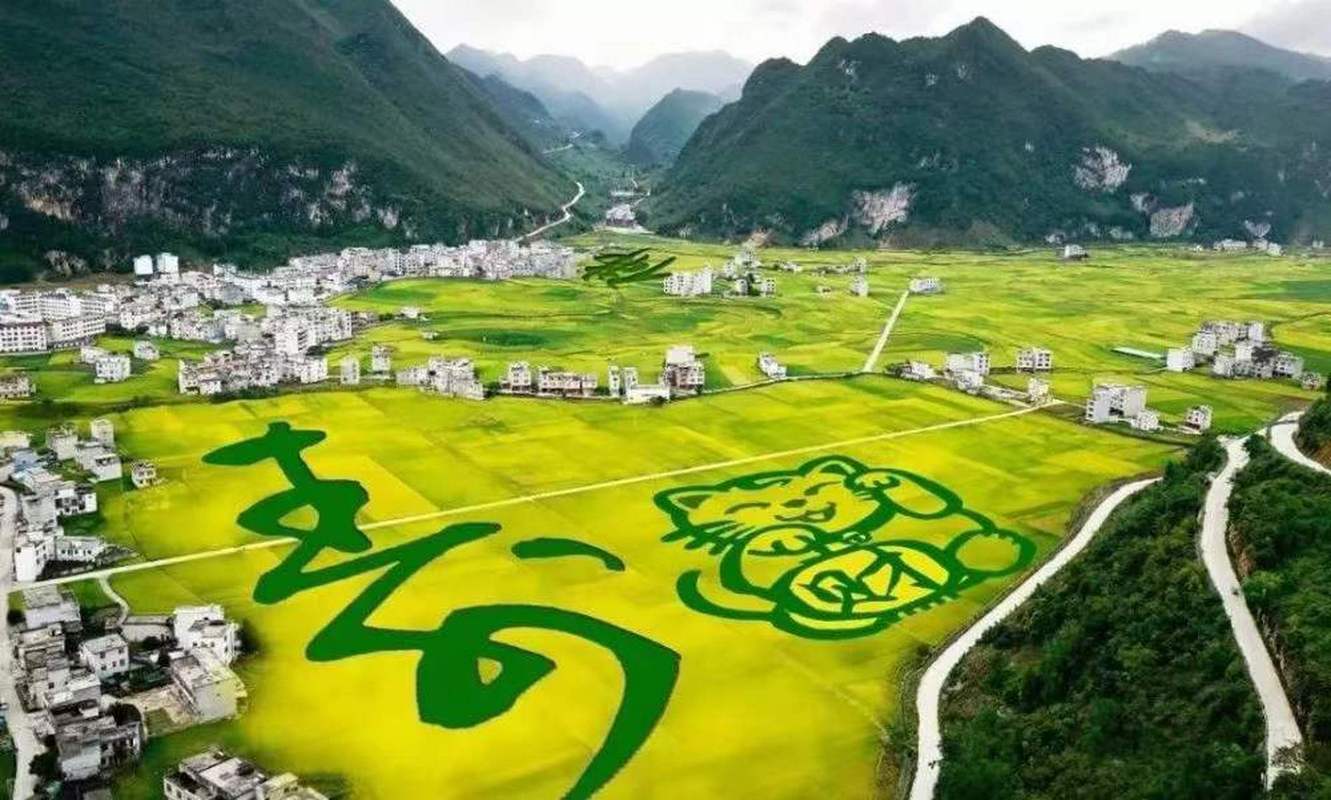 乐业县天气预报，乐业县天气预报7天-第5张图片-优品飞百科