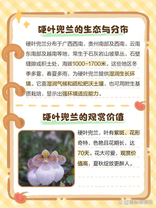 兜兰在室内种植对人体有害吗，兜兰如何种植？-第3张图片-优品飞百科