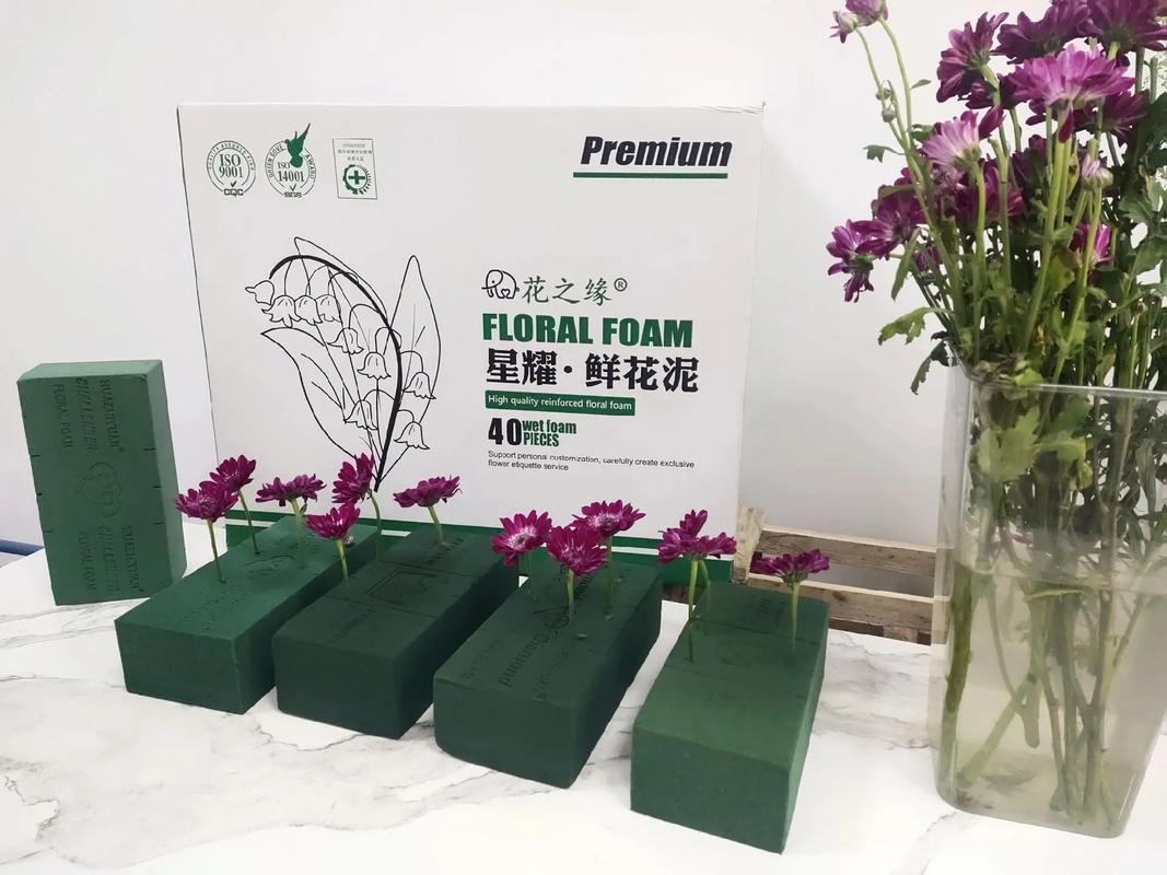 兜兰在室内种植对人体有害吗，兜兰如何种植？-第8张图片-优品飞百科