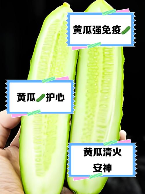 我们养的这些花农村到处都是，关键时候还能救命，养的花是什么花？-第3张图片-优品飞百科