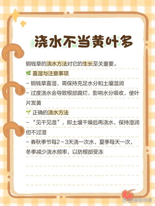 铜钱草黄叶的原因和处理办法，铜钱草黄叶的原因和处理办法图片-第2张图片-优品飞百科