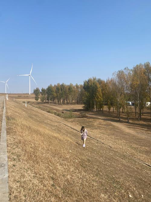 阜蒙县天气预报？阜蒙县天气预报精准？-第3张图片-优品飞百科